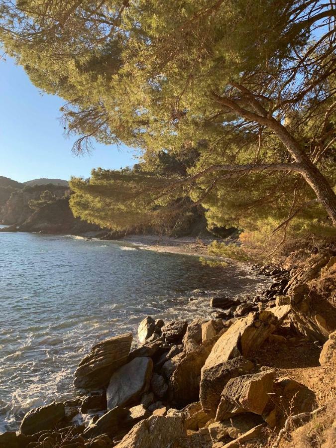 Villa Cavalaire Sur Mer Eksteriør billede